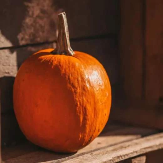 La peau du potimarron : comestible, toxique, ou juste mal comprise ?