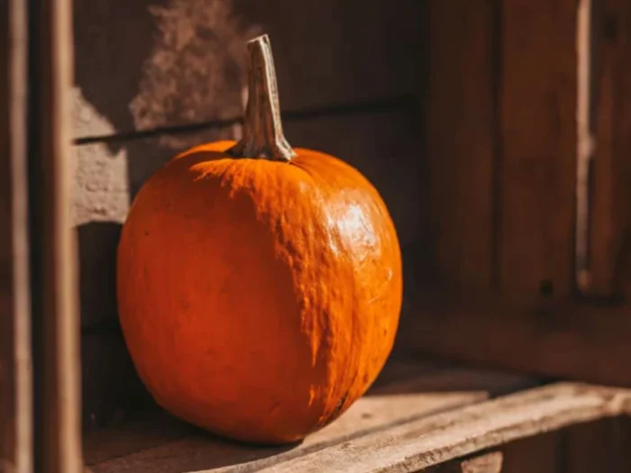 La peau du potimarron : comestible, toxique, ou juste mal comprise ?