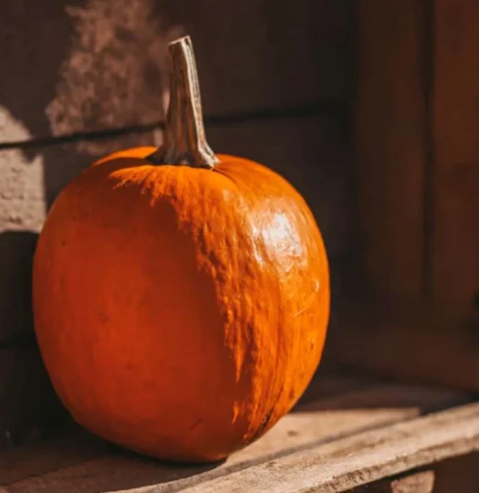 La peau du potimarron : comestible, toxique, ou juste mal comprise ?