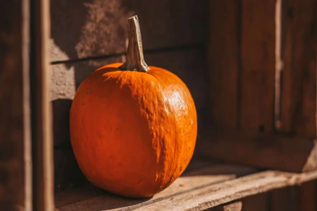 La peau du potimarron : comestible, toxique, ou juste mal comprise ?